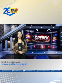 @Paltv-Memang Punyo Kito