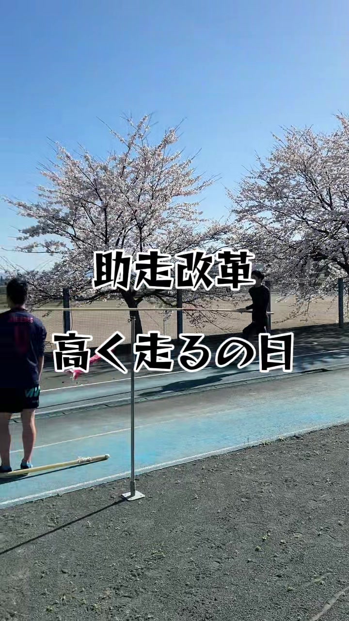 @イッヌ(棒高跳日本選手権目指す人)