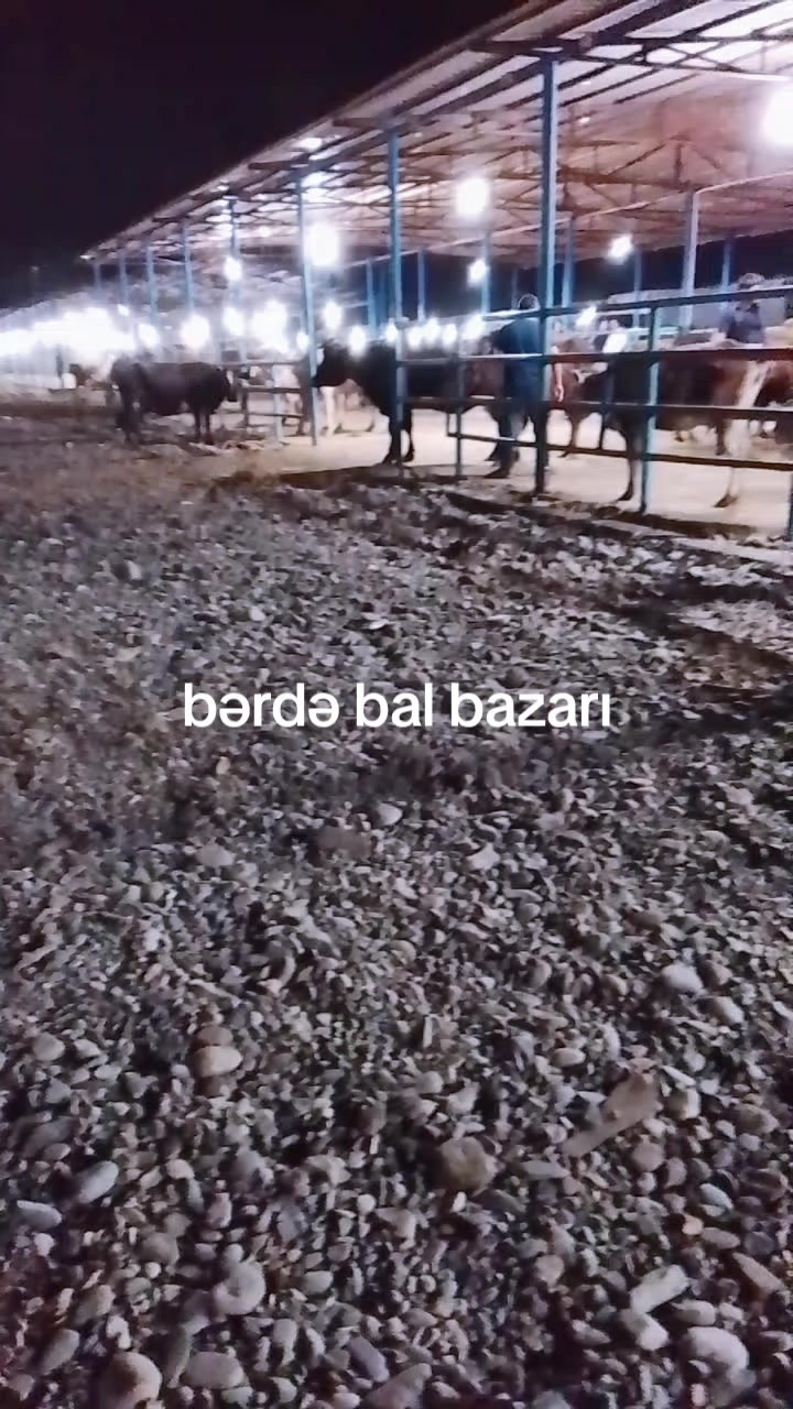 @RZA BƏRDƏLİ 09