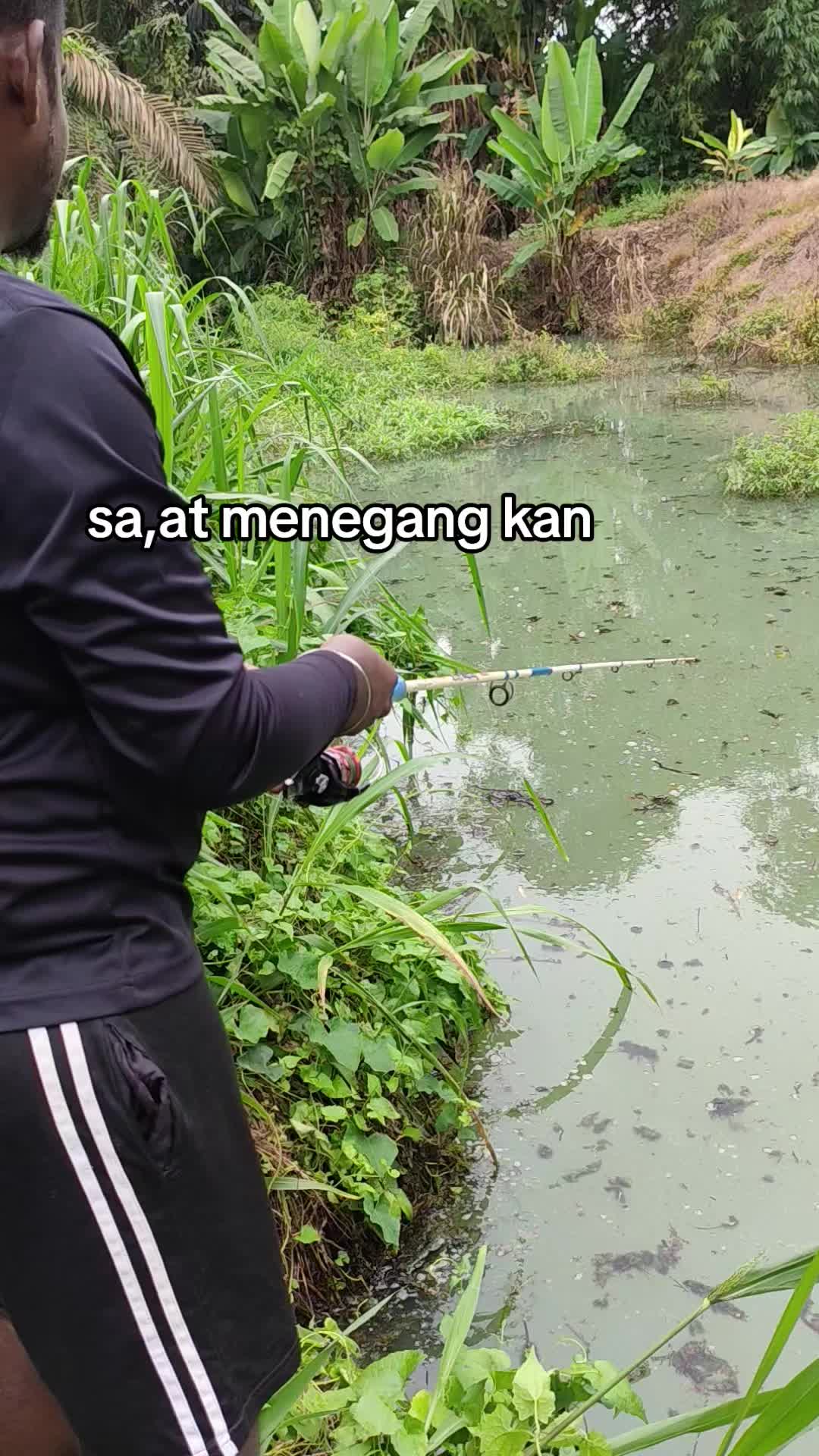 @SAHWI