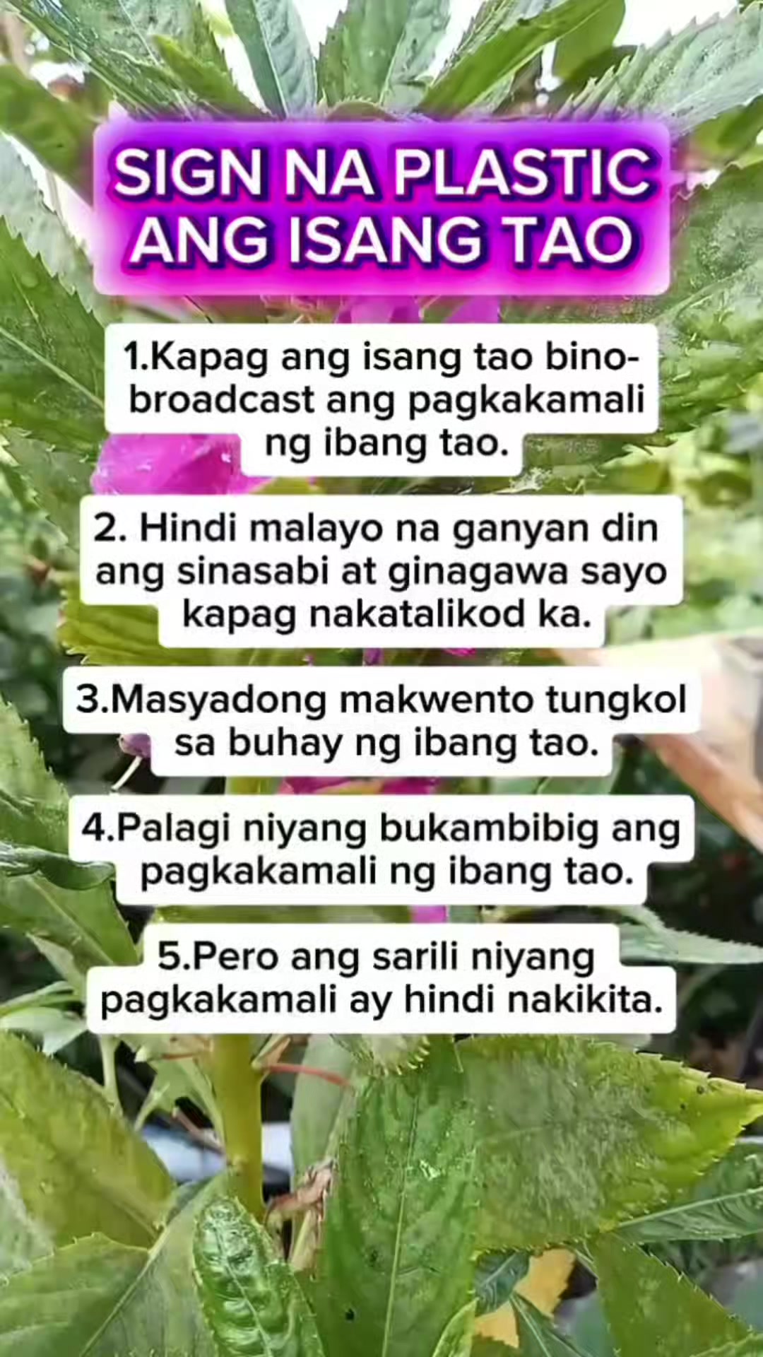 @🐝Tala Hives🐝