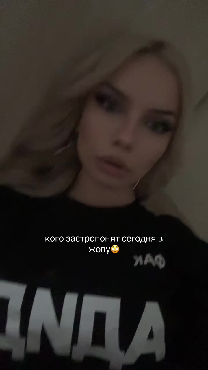 @чихуахуа