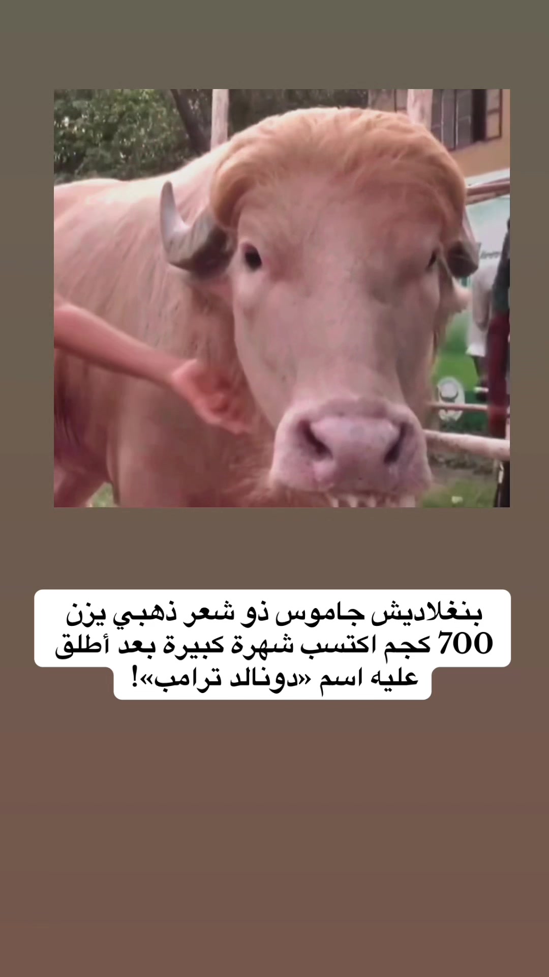 @قصص وغرائب ✍️🇸🇦