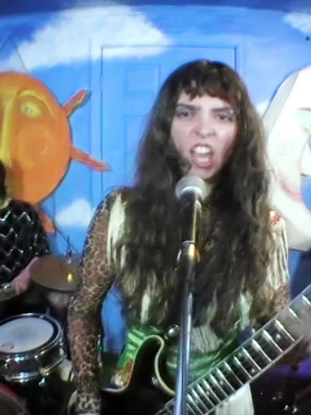 @The Velveteers