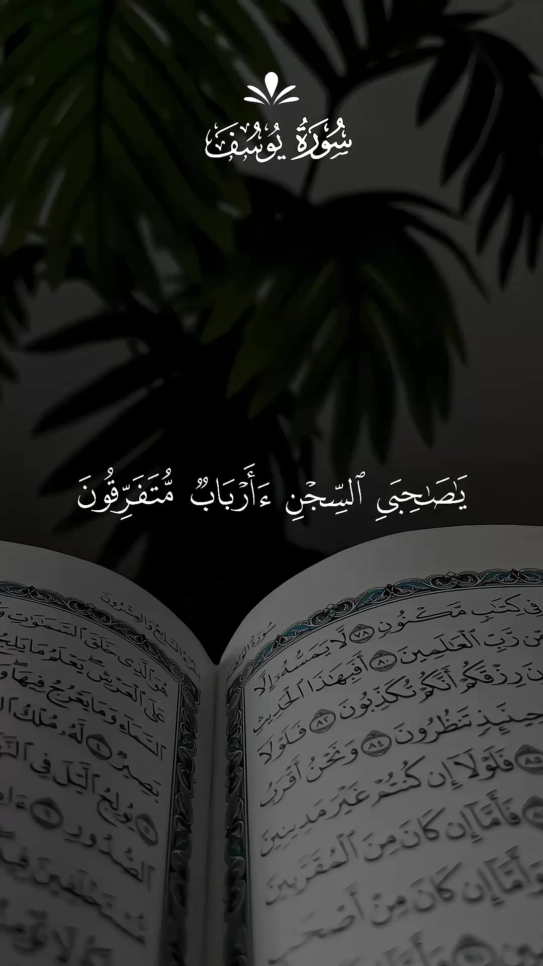 @◈ الشيخ محمود خليل الحصري ◈