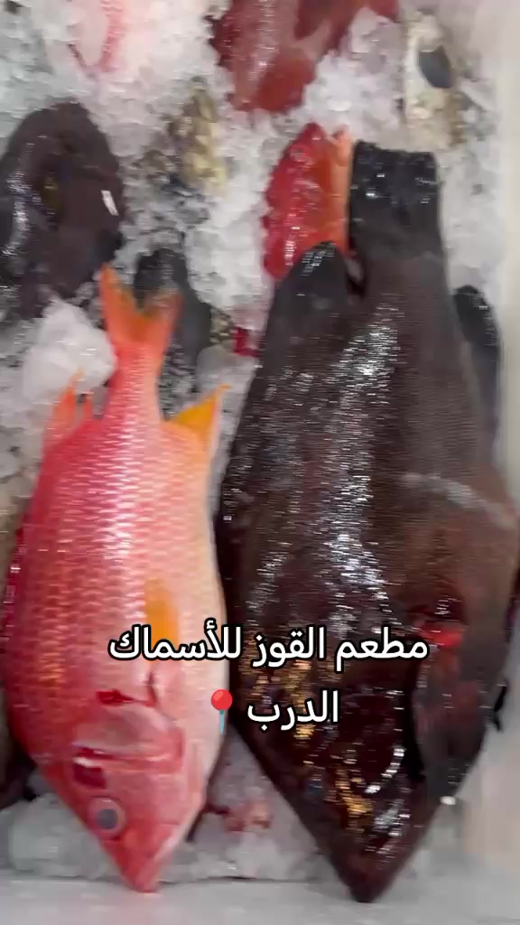 @مطعم القوز للأسماك.الدرب🧿