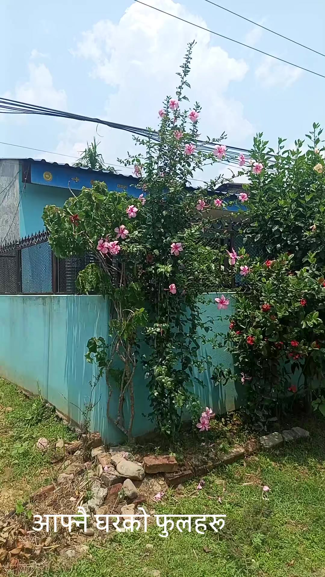 @meerachhetry