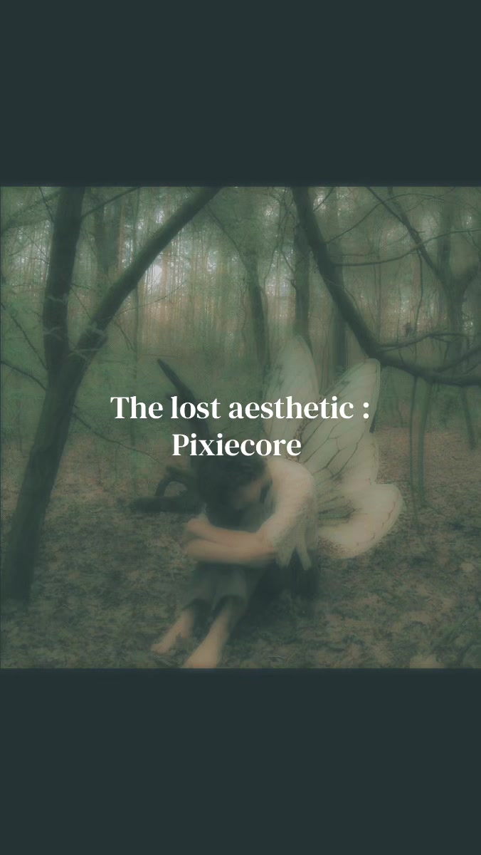@⋆˚꩜。༺𓋼𓍊𝐹𝒶𝑒𝒯𝓇𝒶𝓅𓍊𓋼༻☆