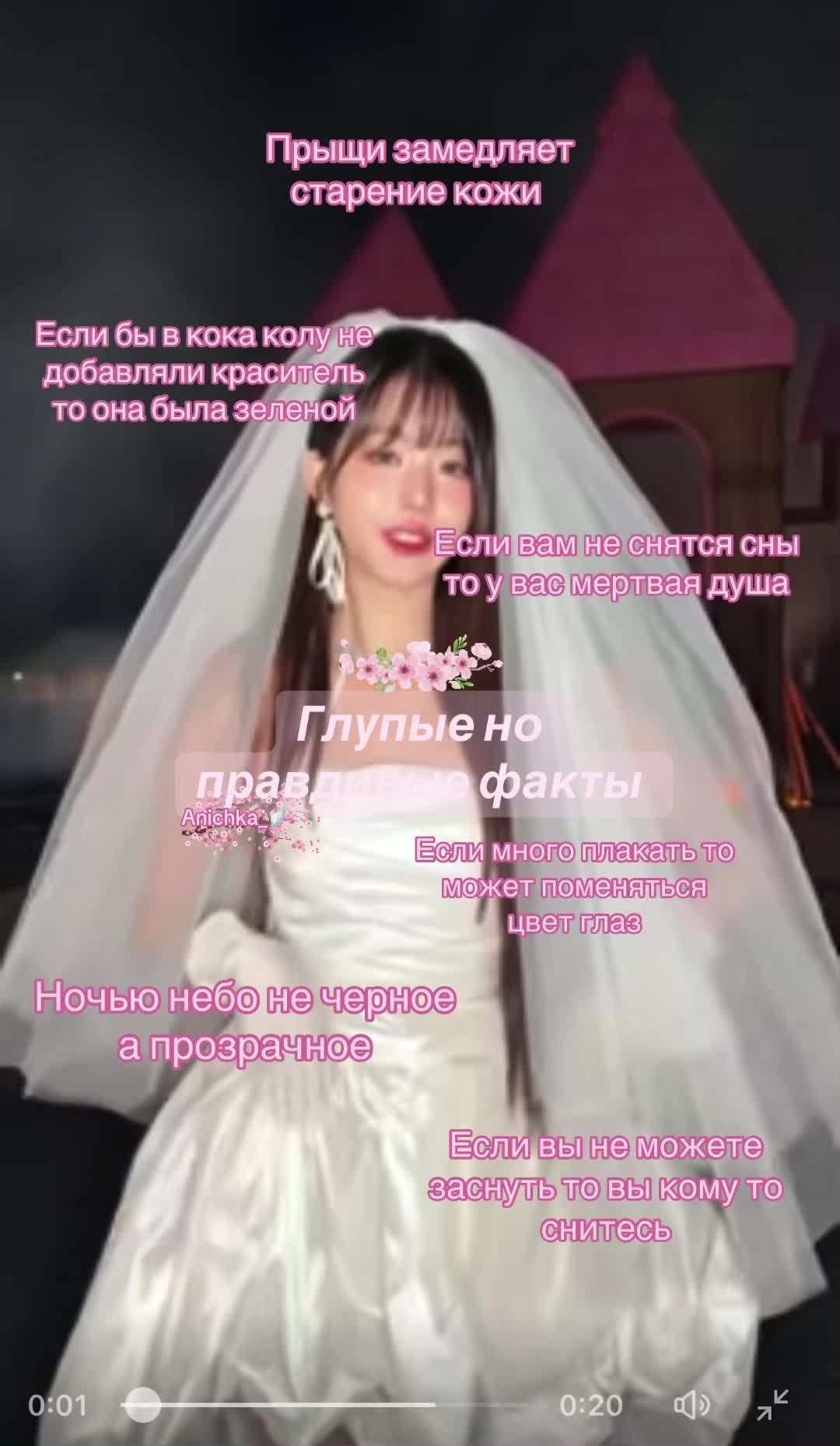 @Anichka_🪽