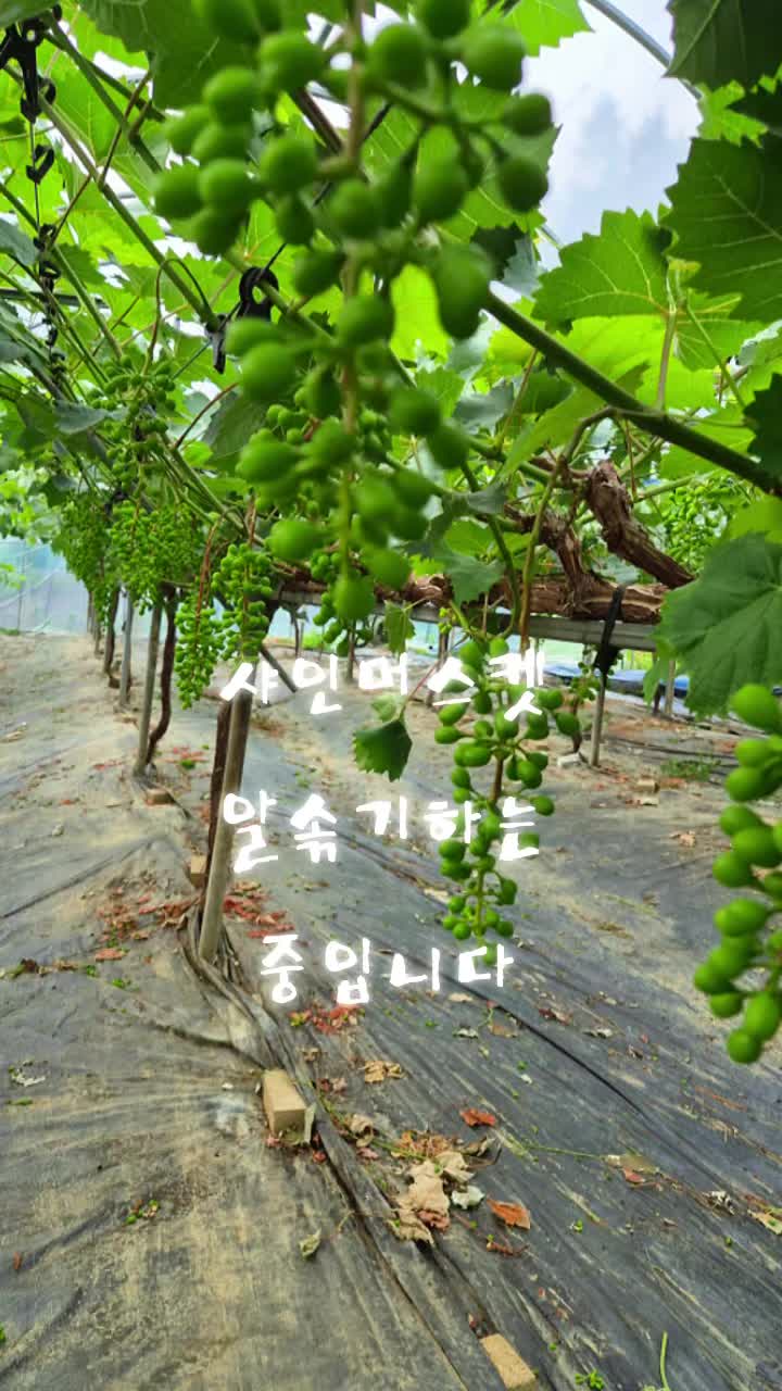 @๐ฐ๐ท๐์ก์ฐํฌ๋์ธ๋๐๐ฐ๐ท