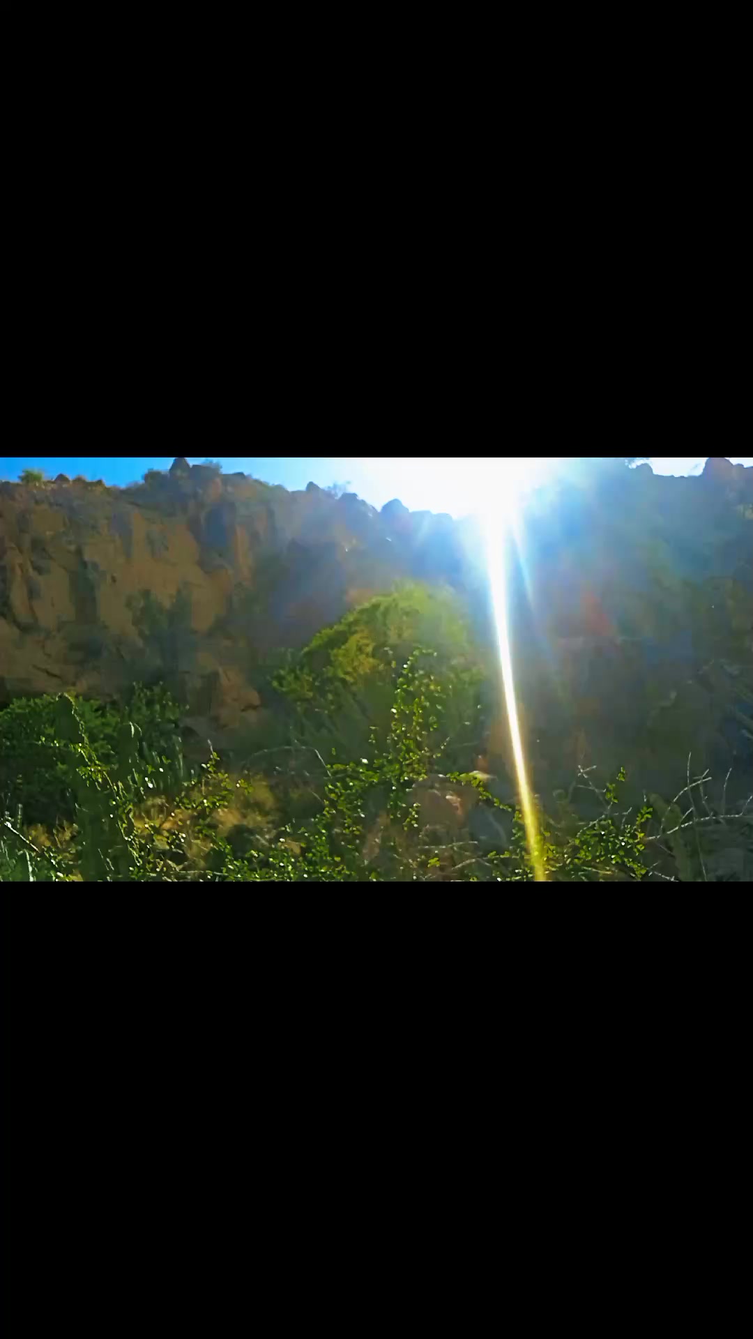 @ابن ،الجنوب العربي711