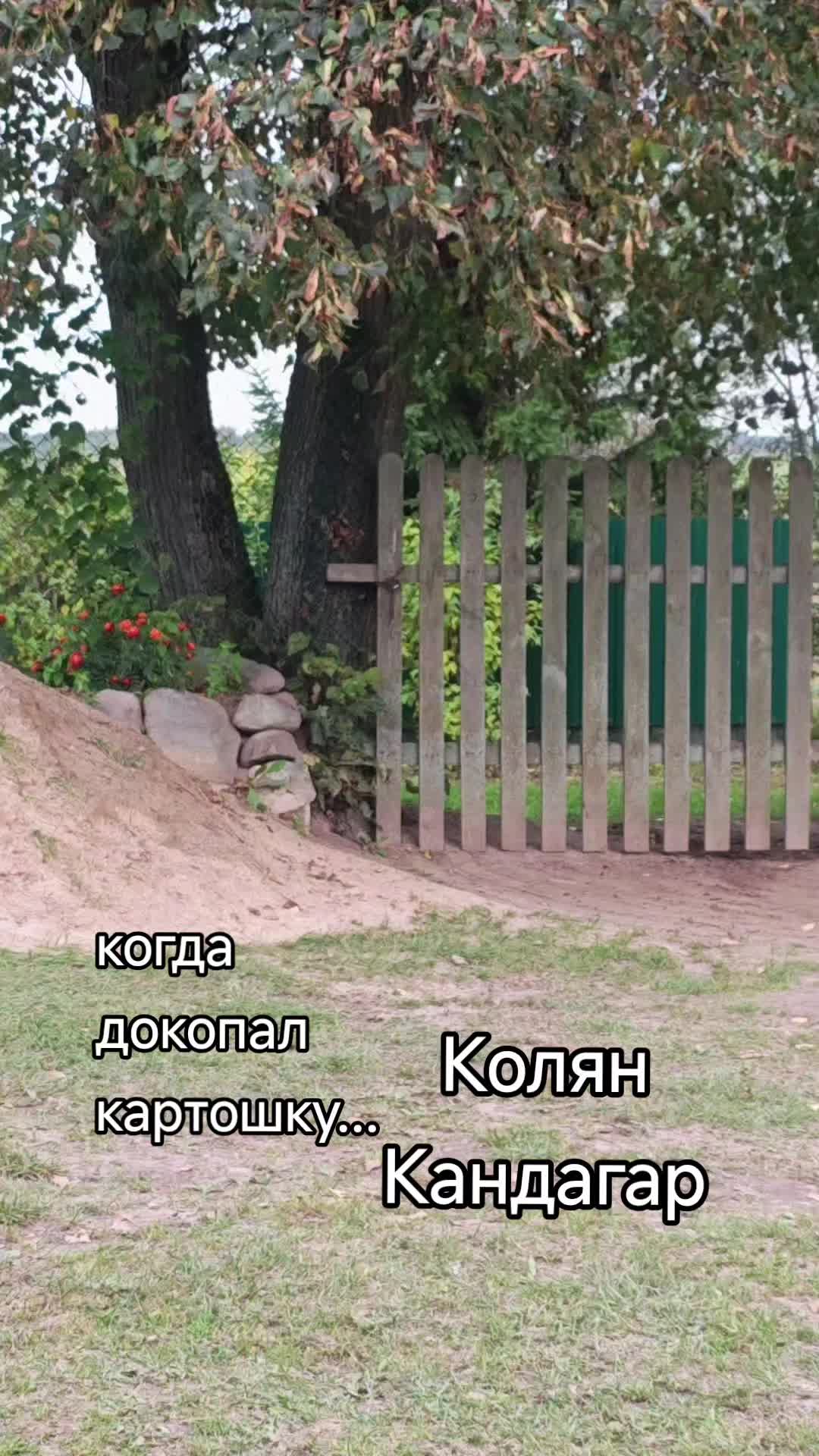 @Картофель Могилёв