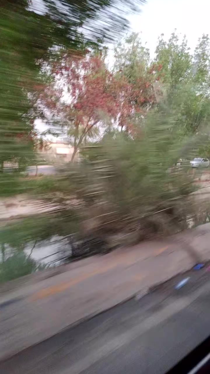 @هاجر طارق 🍒