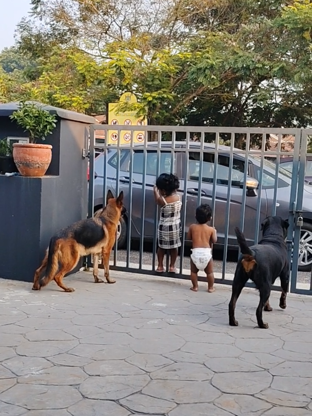 @Bamboozler kennel