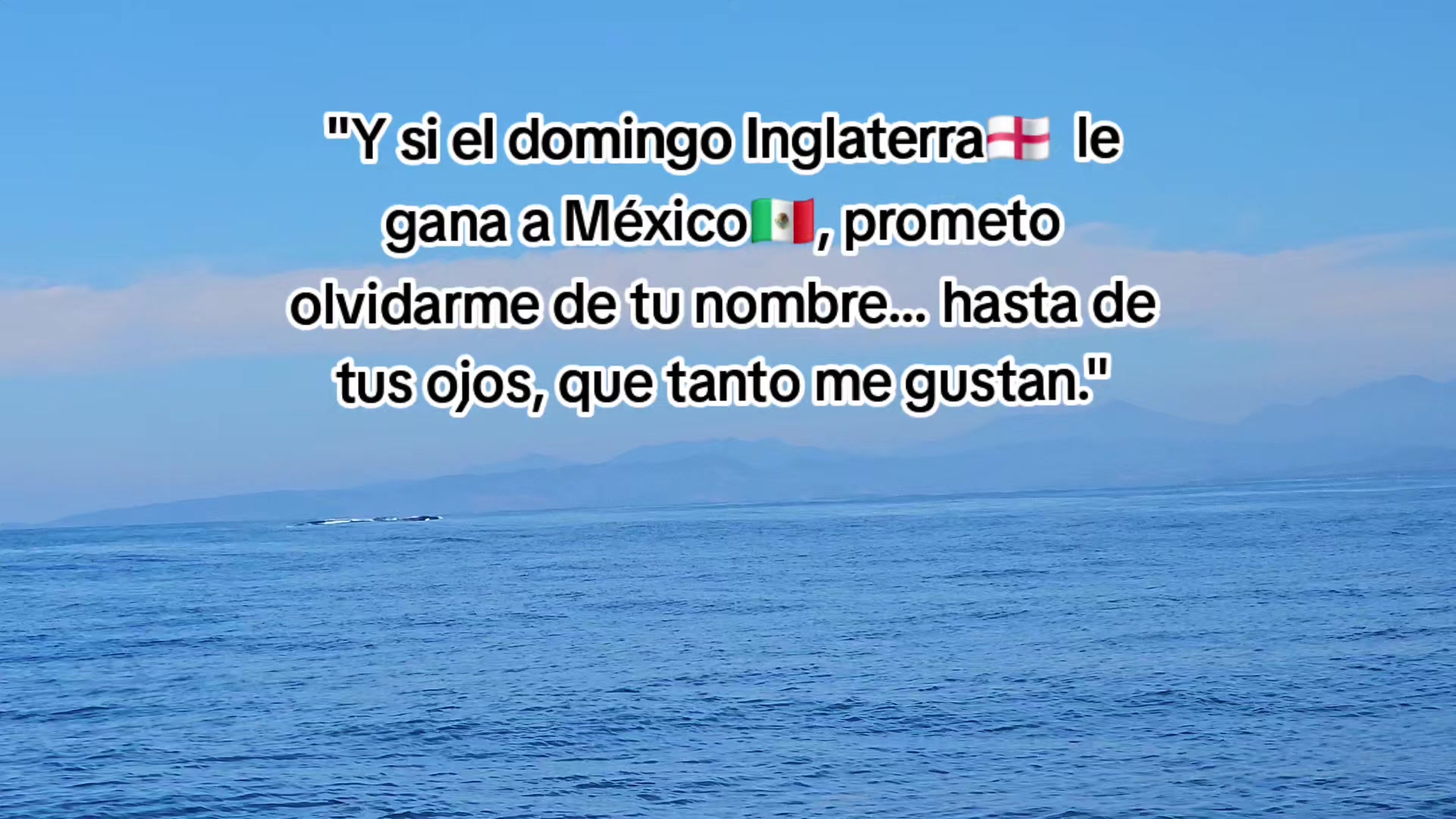 @viri Palomino