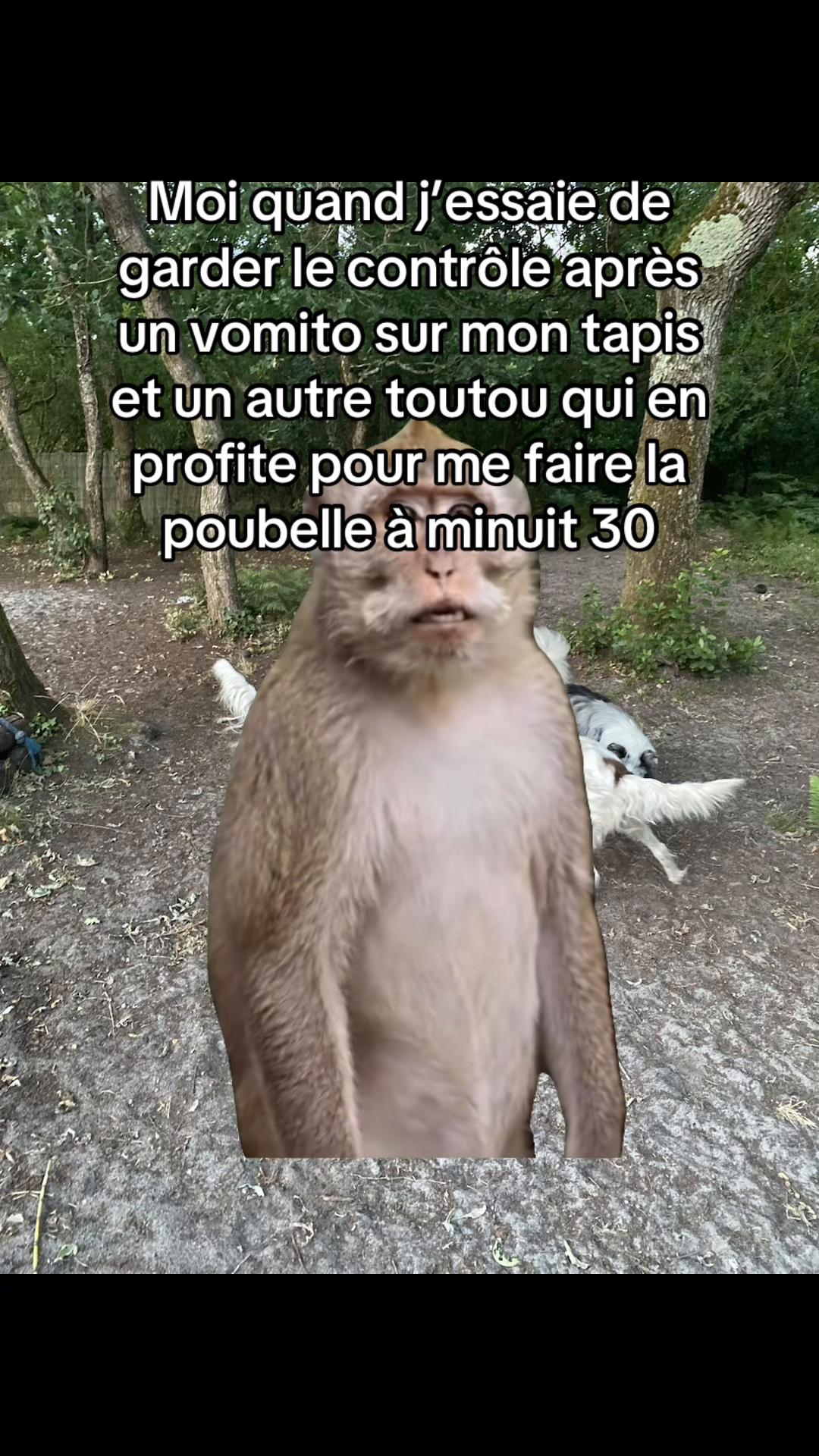 @nathalie..maurice