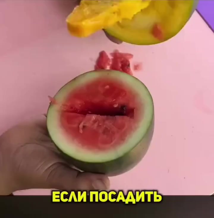 @Vanila