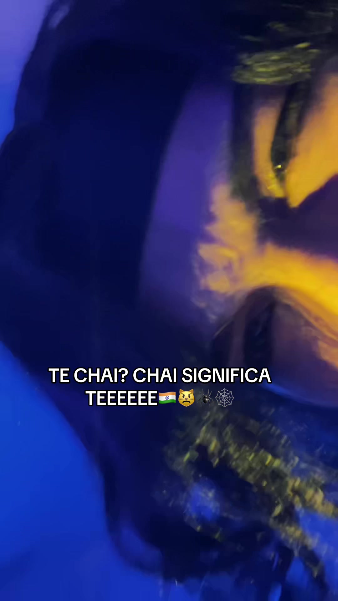 @Lia ; 🫐