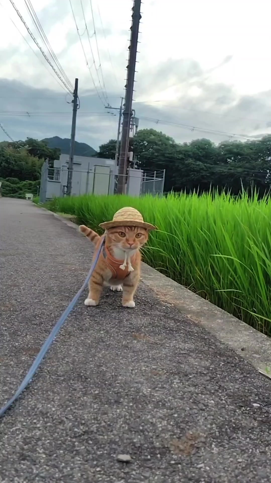 @銀太