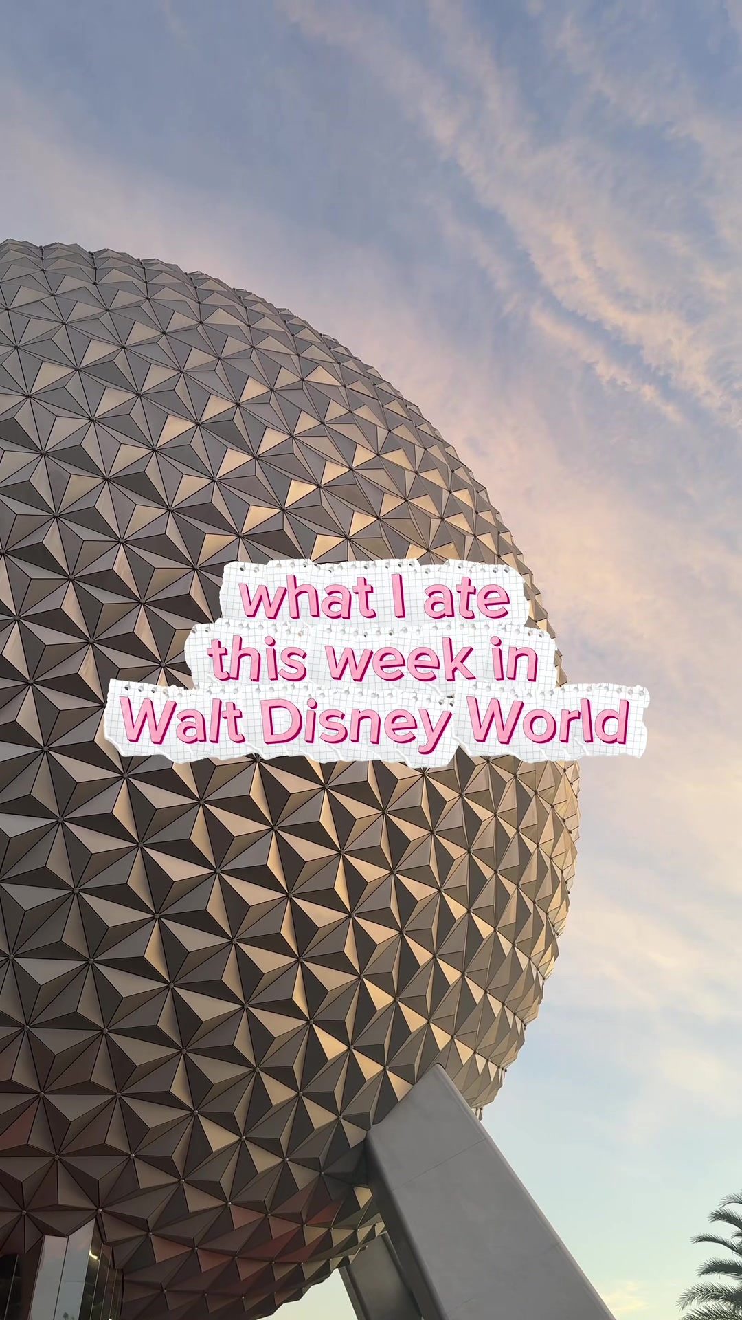 @Kelly Rizzo 🏰💫