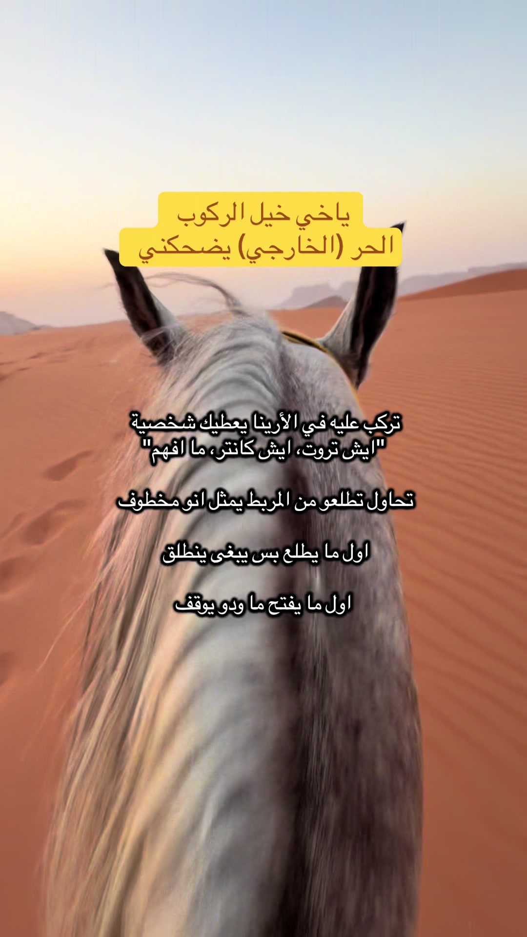 @Horsey.blee