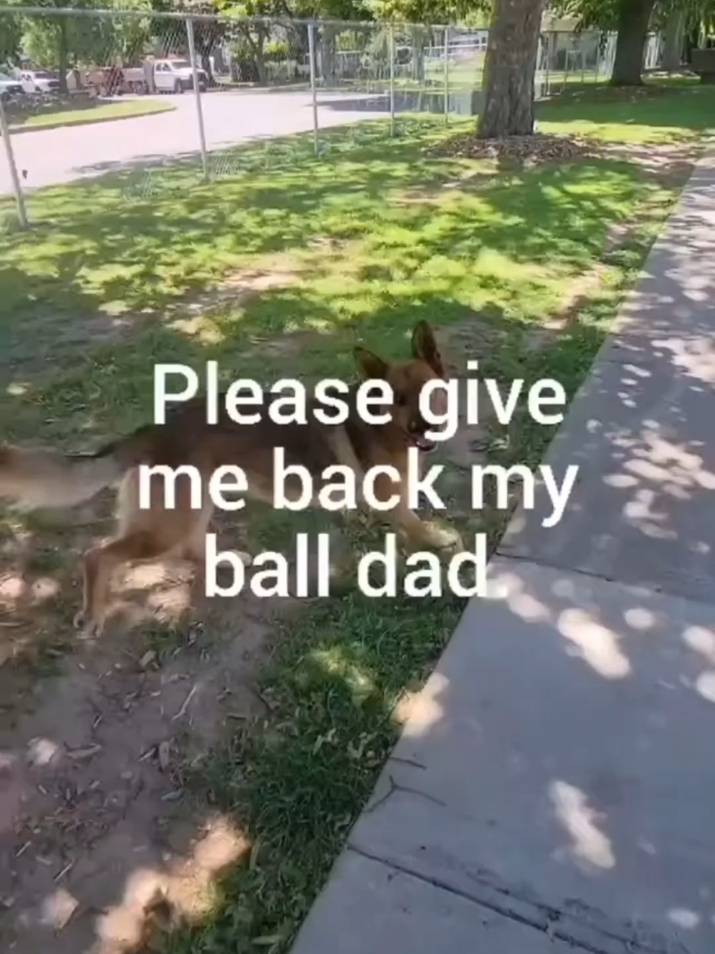 @BuddyandMikes Pal