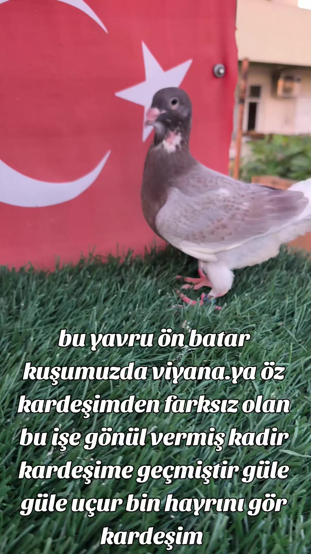 @0163Adanabatarkusu_federasyonu