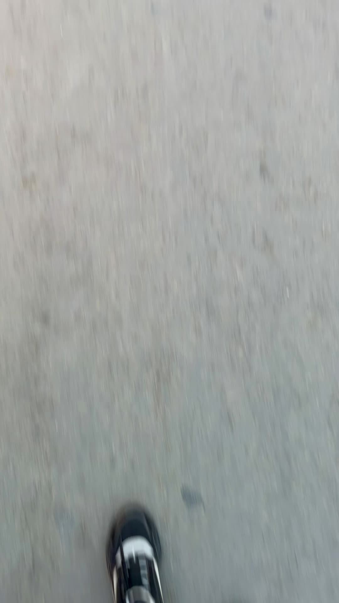@⚜️   𝓩𝓲𝓷𝓸𝓾  ⚜️