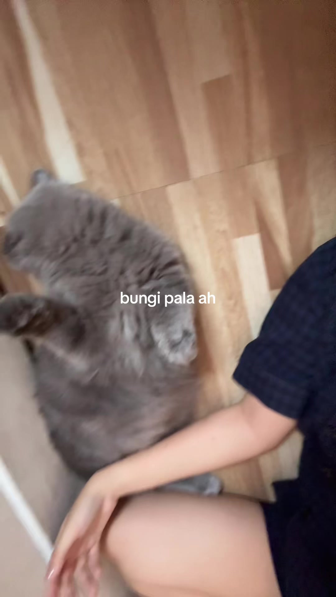 @moguuuu