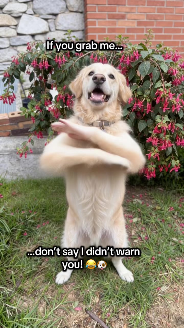@Nanna Says