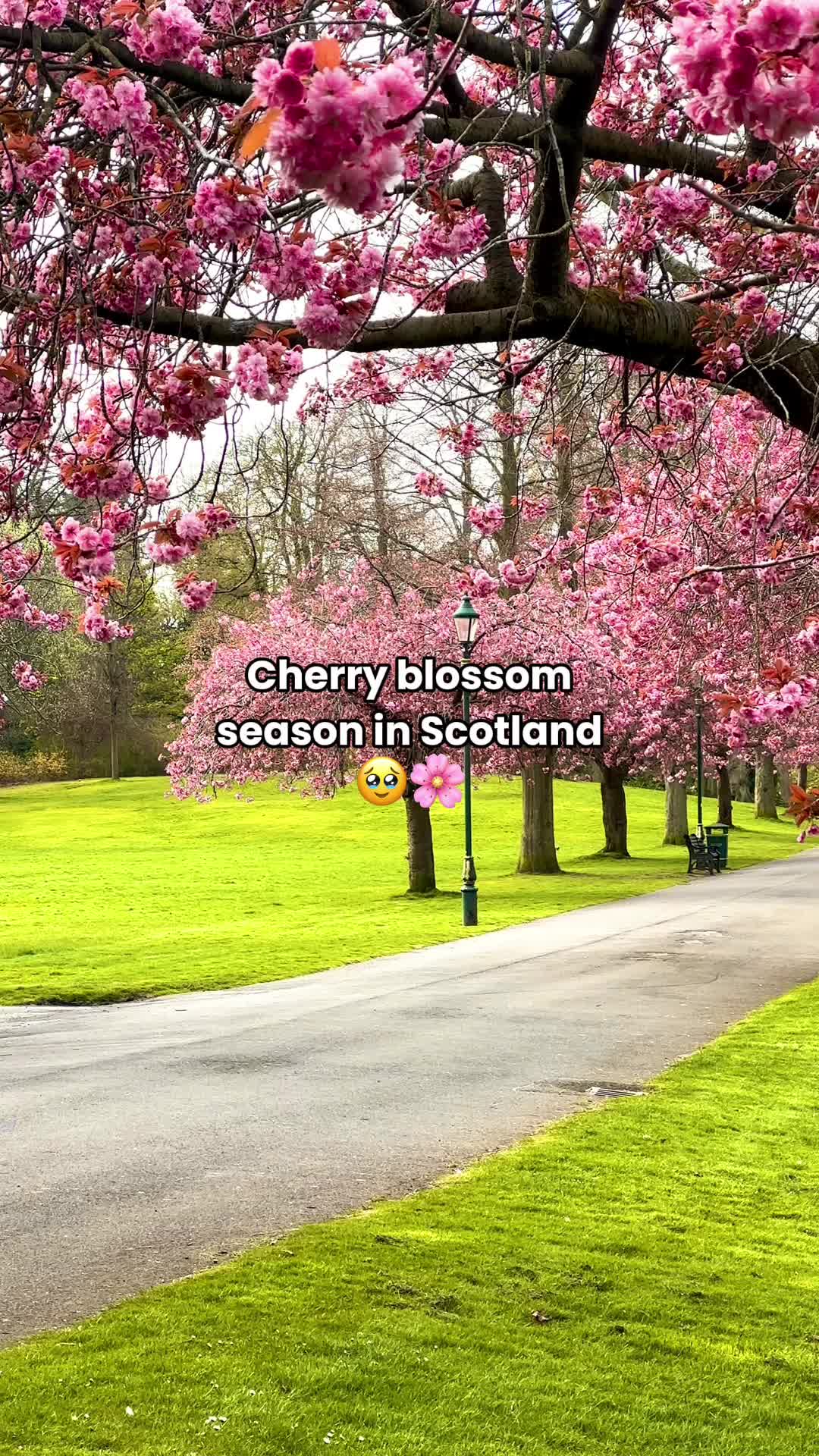 @VisitScotland