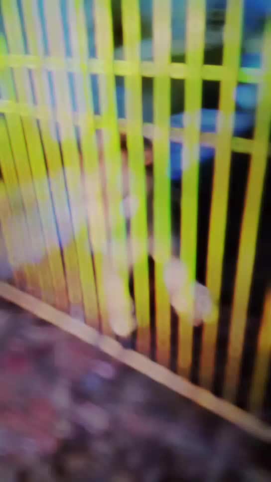 @꧁H҉A҉C҉K҉E҉R҉꧂