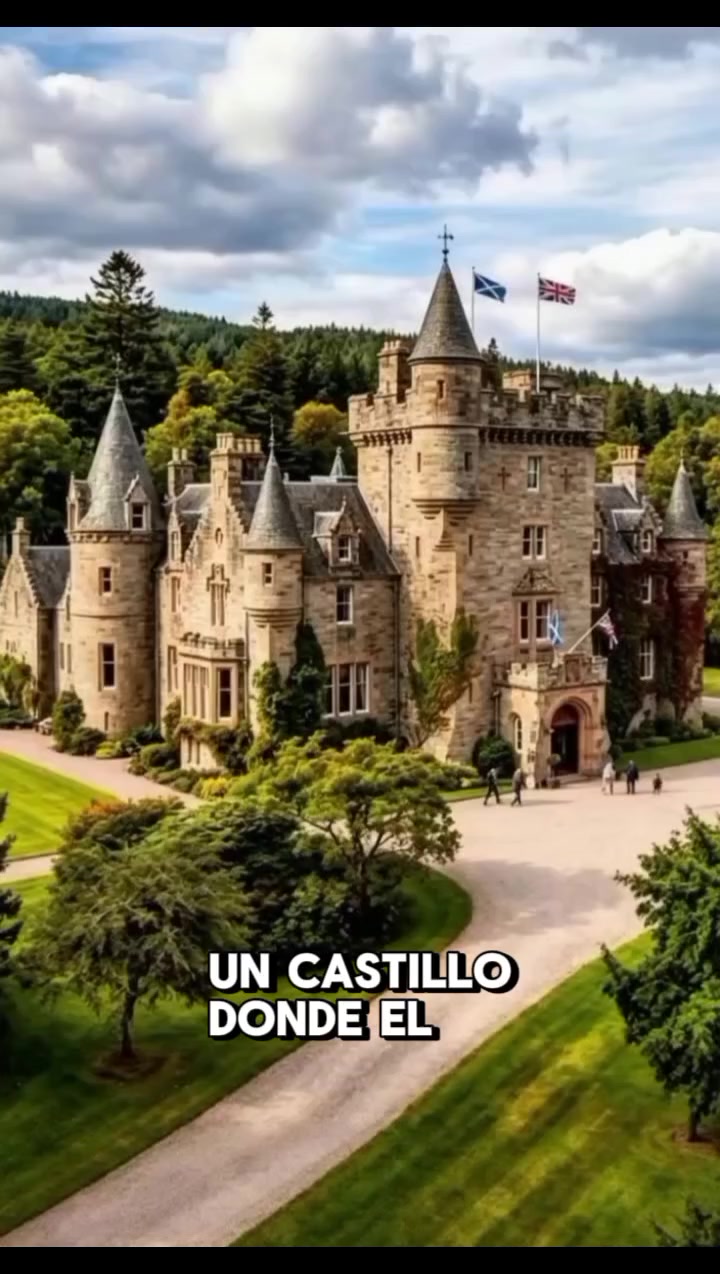 @mundo extraordinario