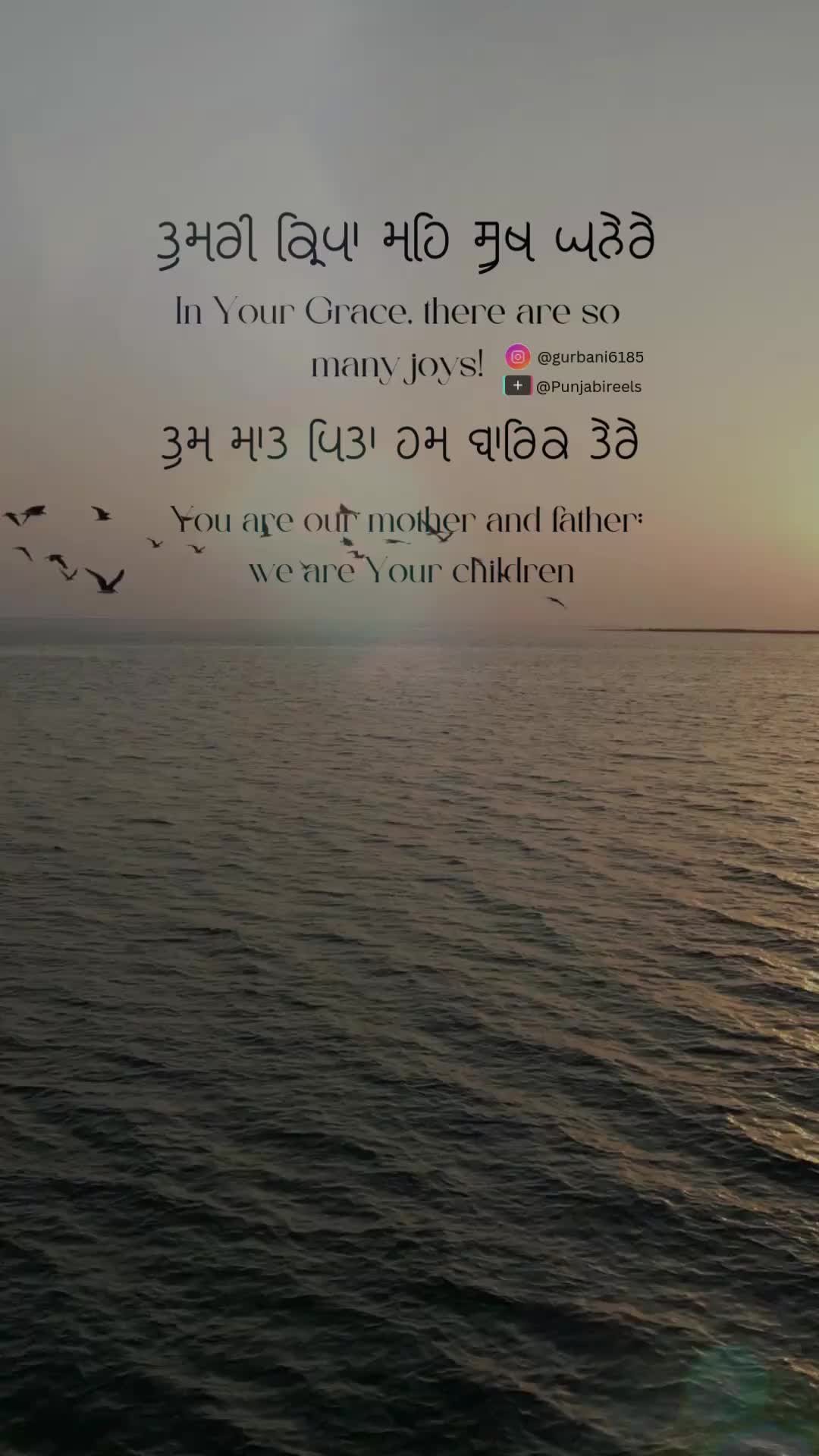 @Punjabireels