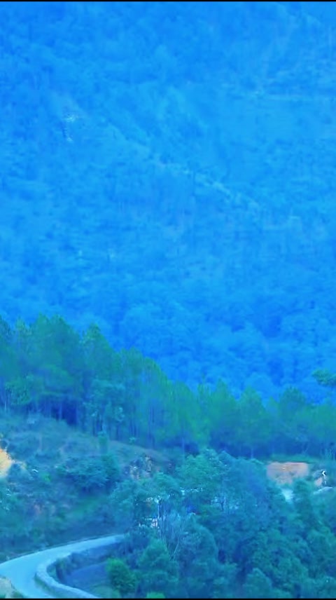 @Arun shahi