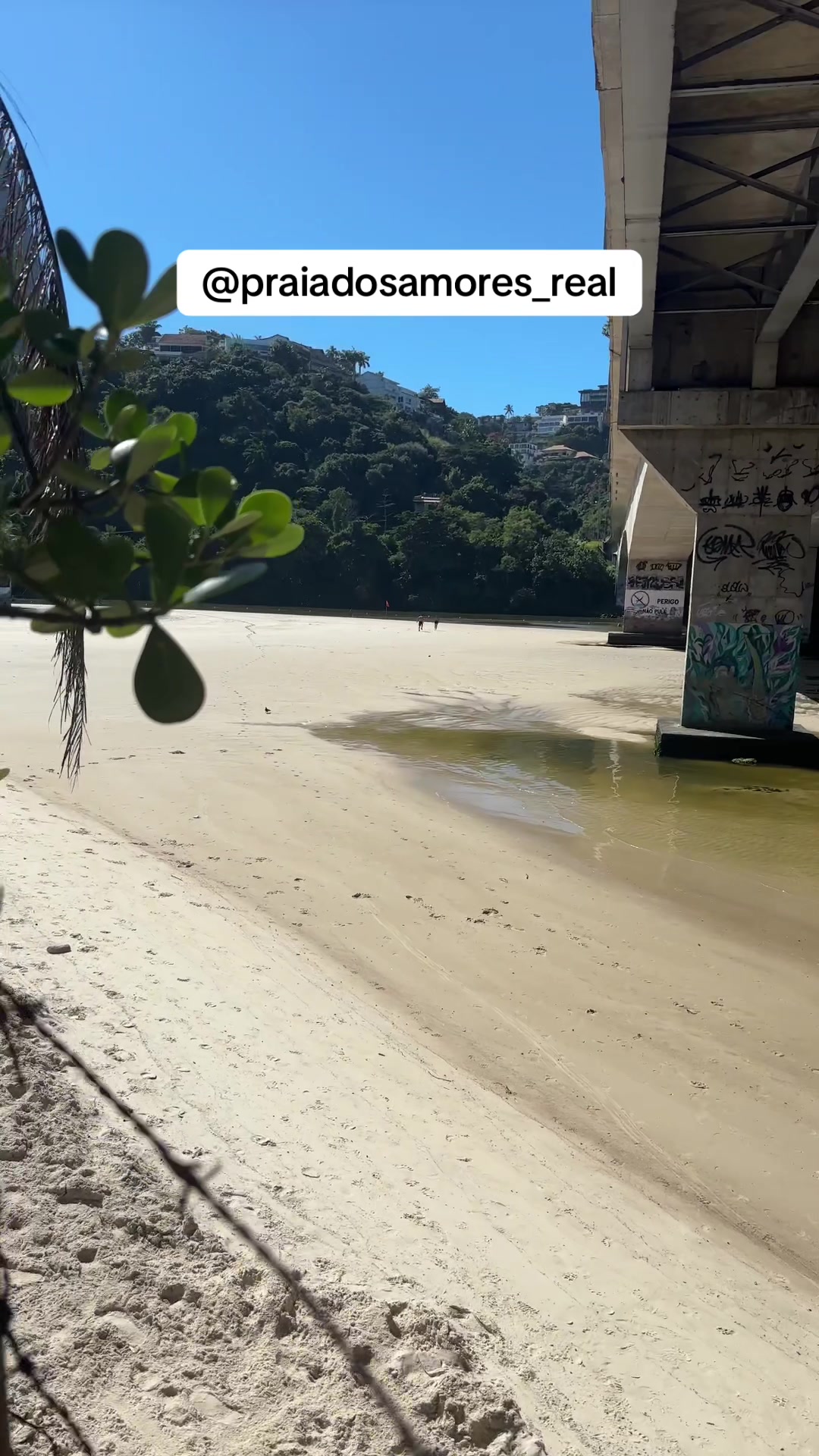 @Praia dos Amores Real