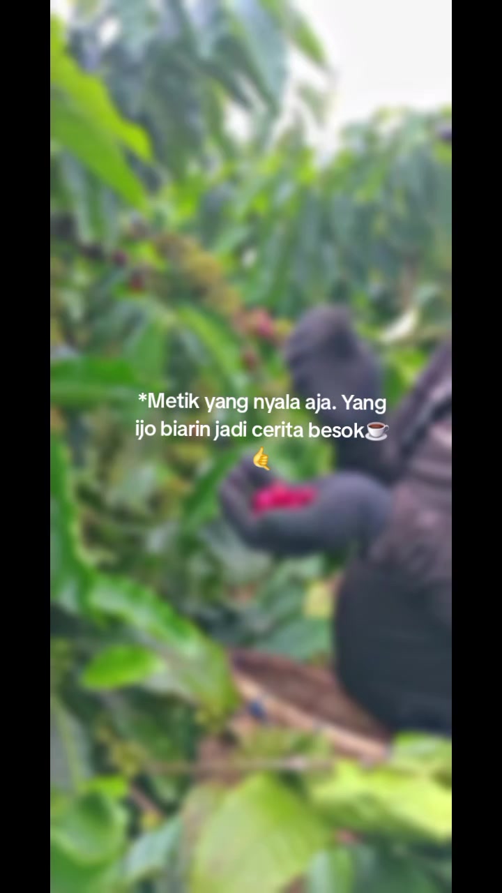 @Nyoman Suardana