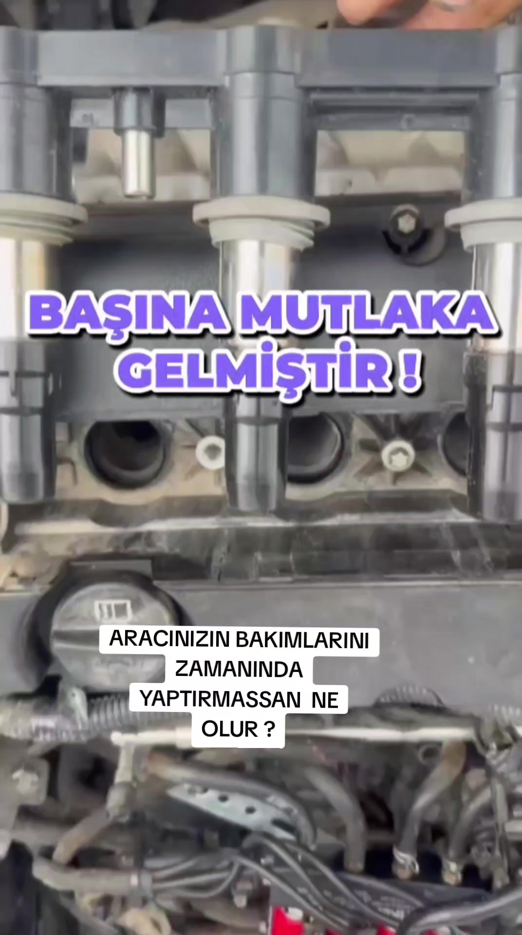 @FENOMEN GAZCI