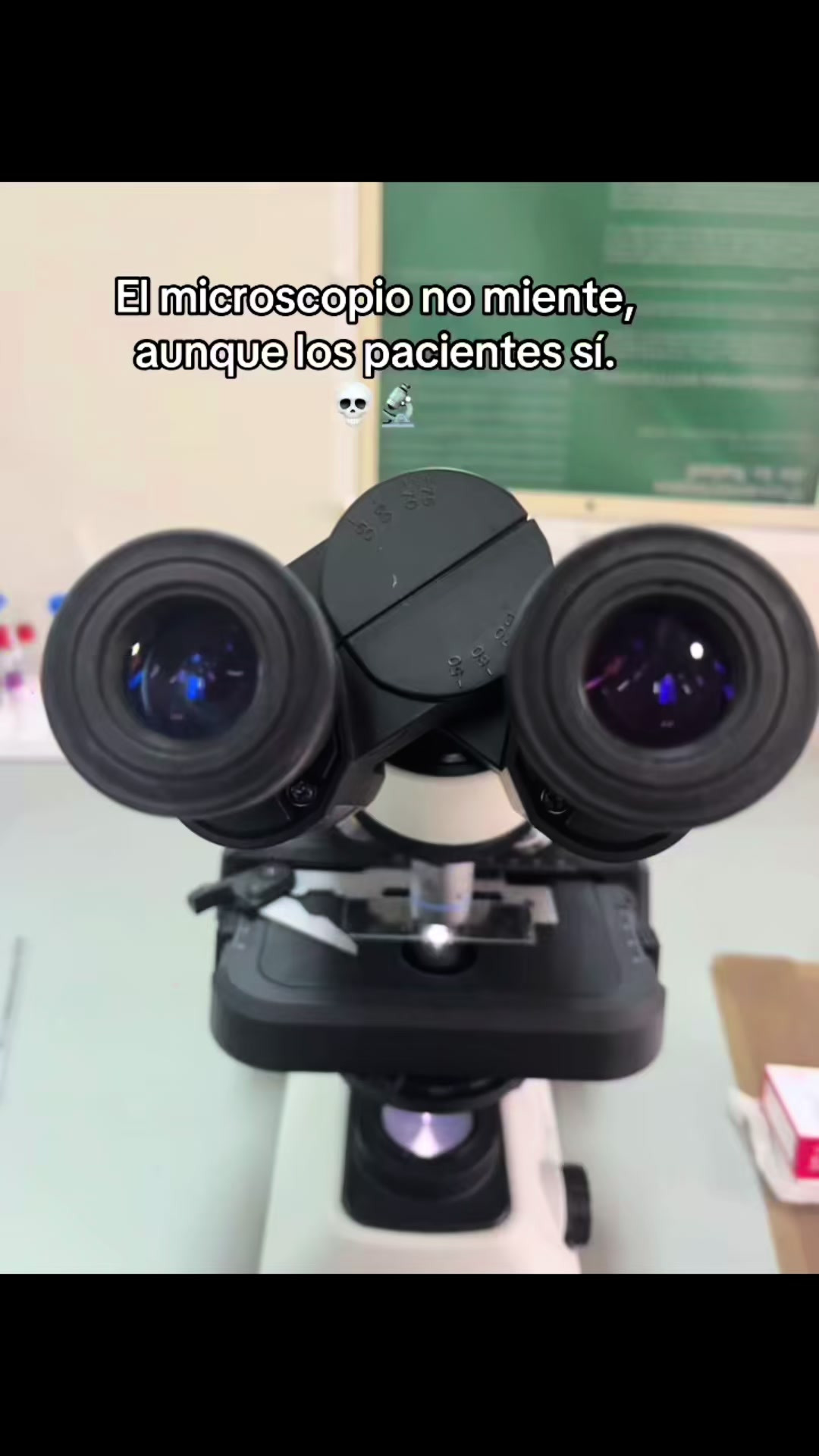@José Miguel
