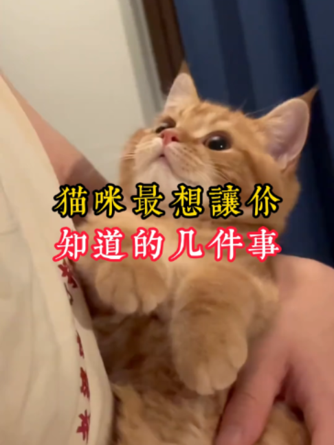 @catology