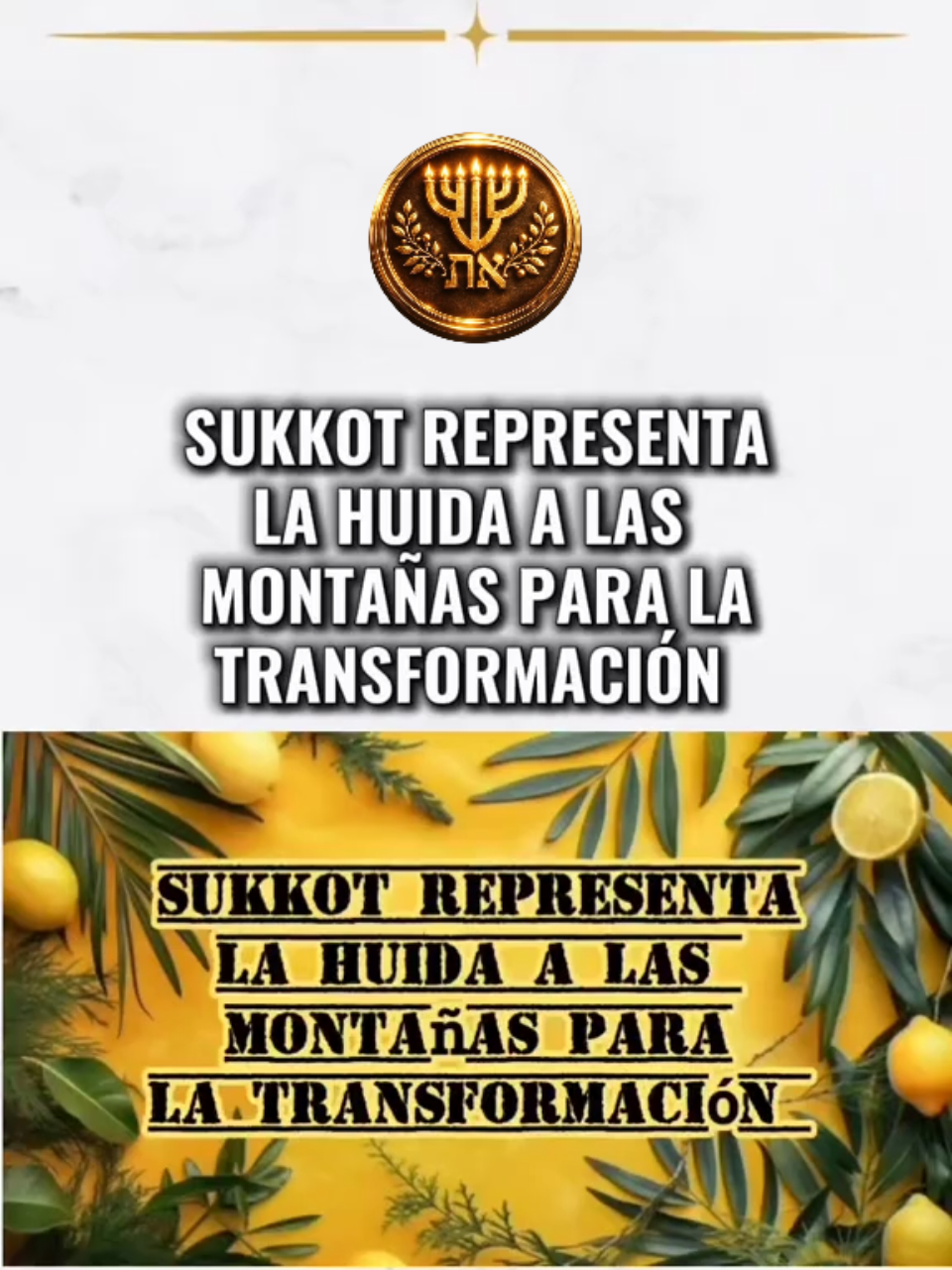 @El Camino de YHWH_Oficial