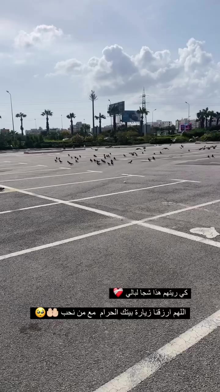 @Loufa_lafloufa🍓🧸