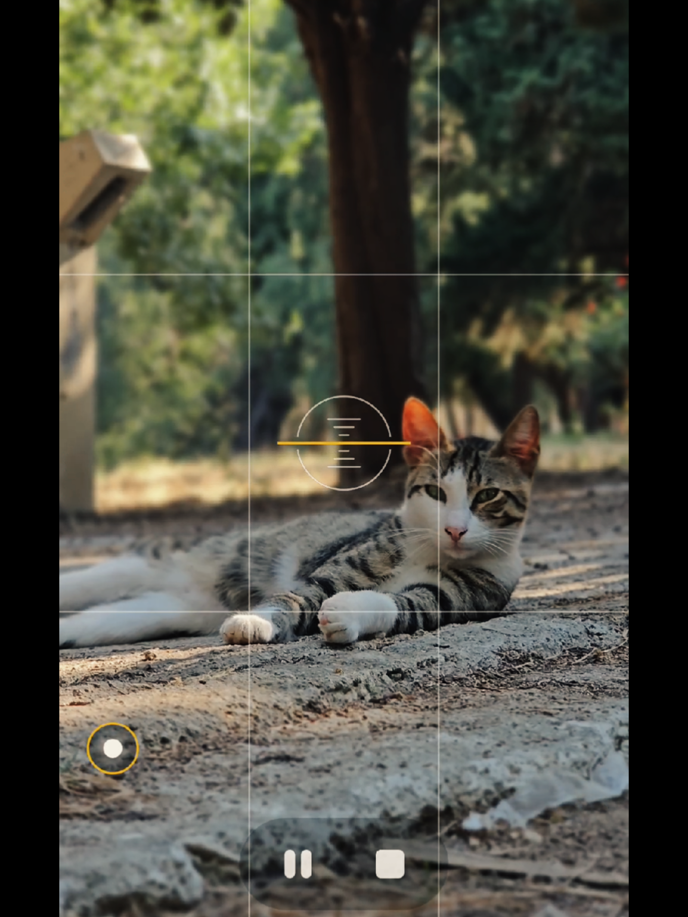 @𝐓𝐨𝐧𝐲𝐜𝐥𝐢𝐜𝐤𝐬📱🇪🇺🇬🇷