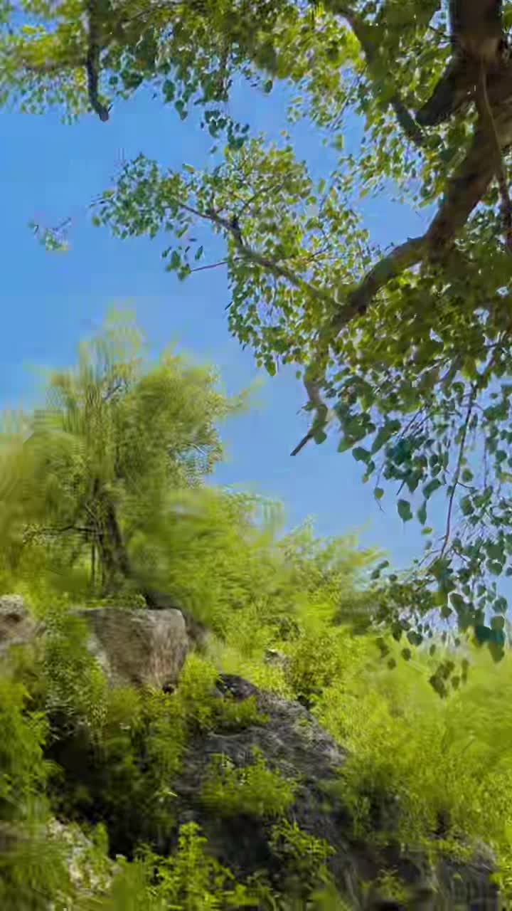 @&hearts;️ خو شبو گلی &hearts;️