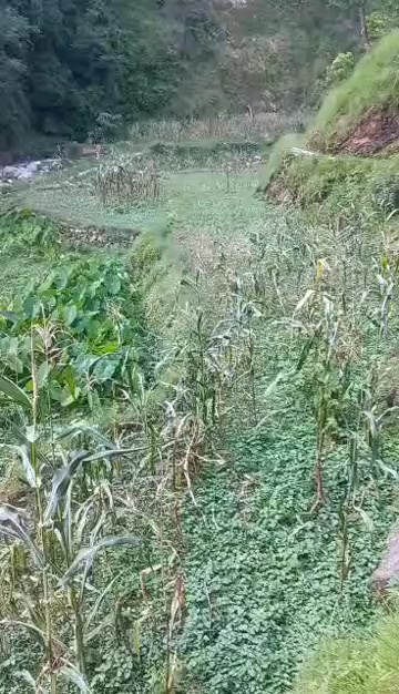 @Bishnu pangeni😊