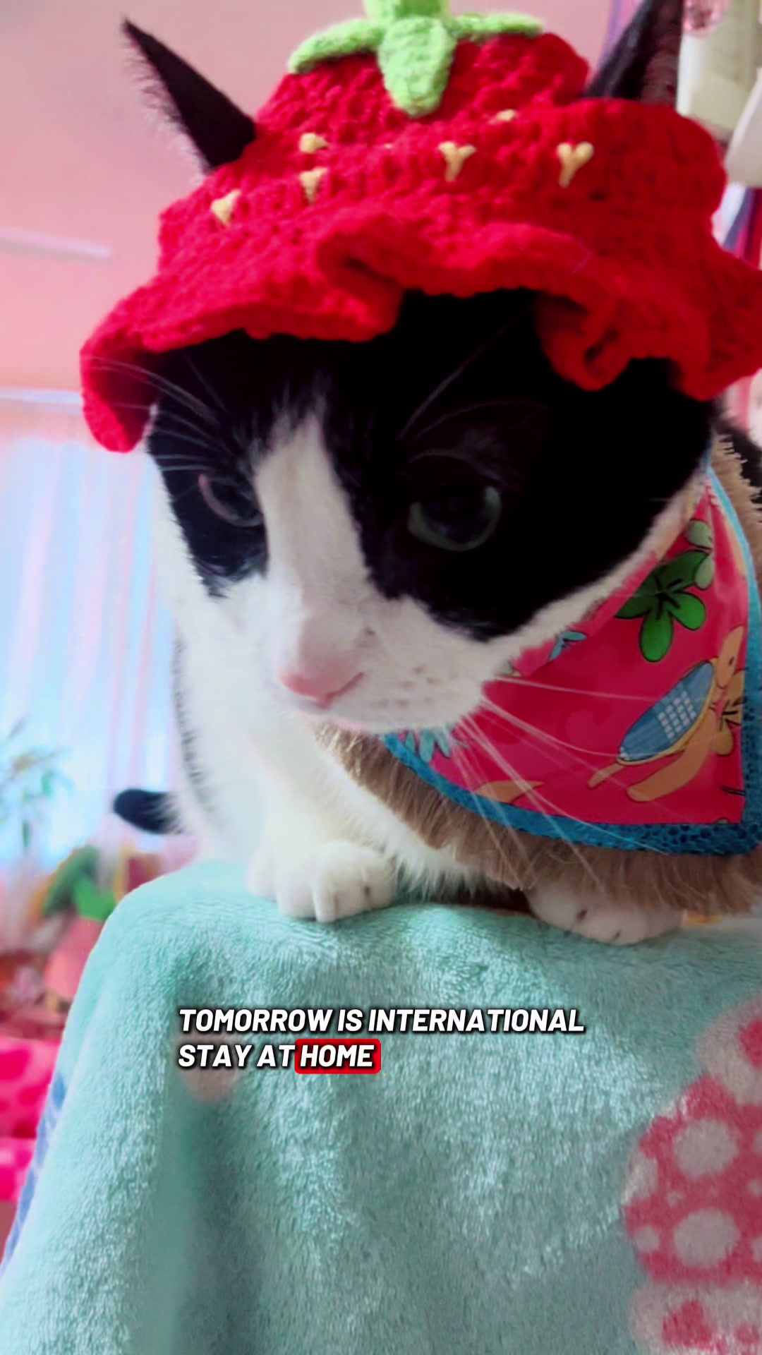 @Concerned_Kitty