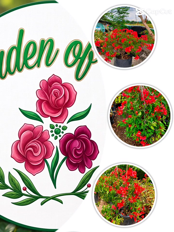 @Beautiful Garden of Eve