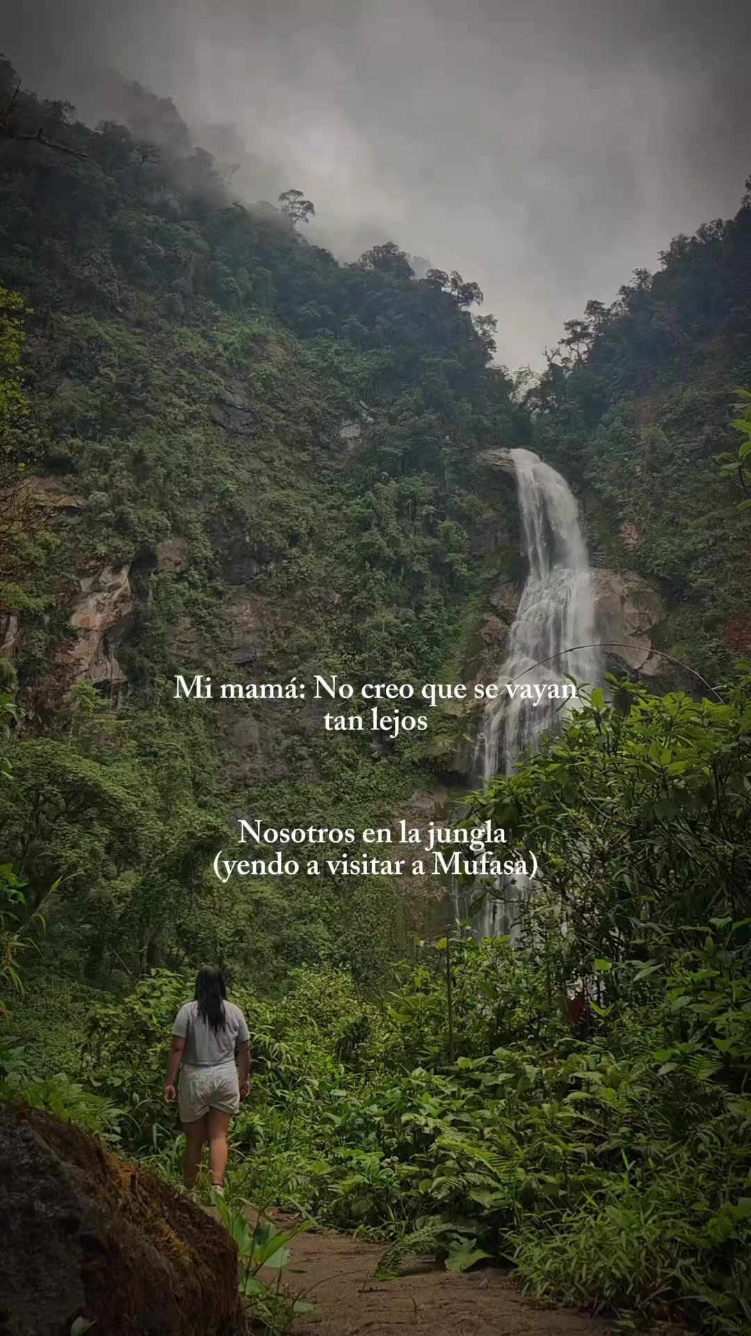 @Sandra Lizz 🍃