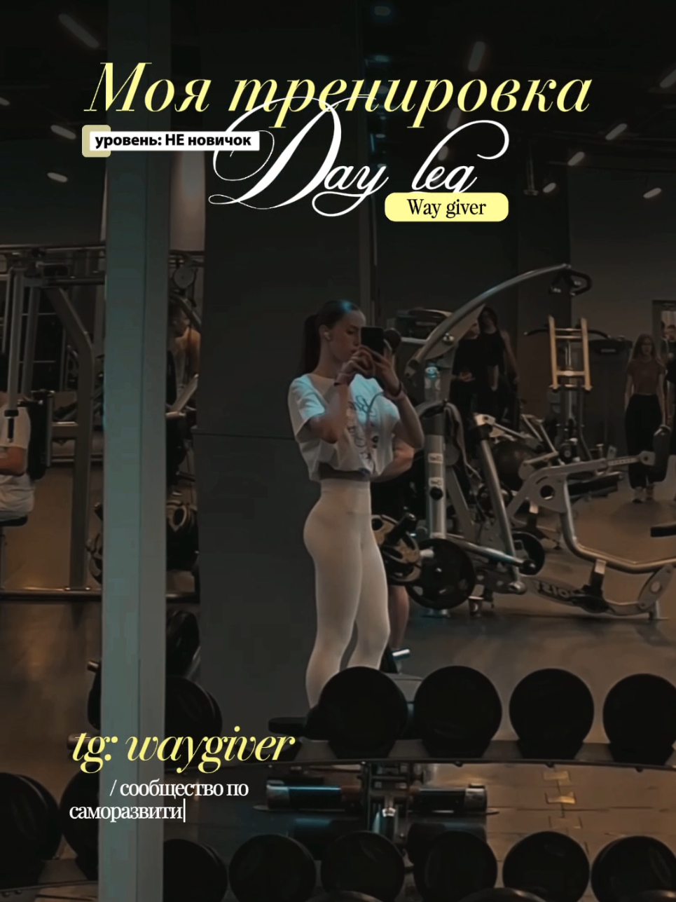 @Way giver | Mentor | Mila