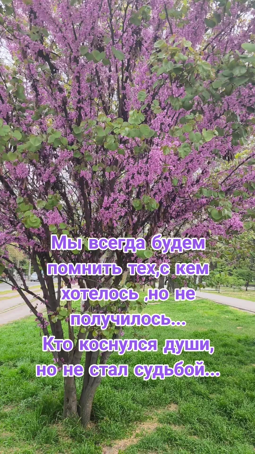 @♓️Татьяна♓️